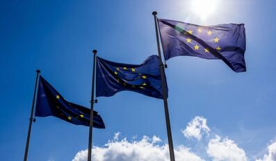 EU Google order